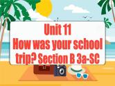 Unit 11 第5课时 (Section B 3a-SC) 课件+教案 人教版英语七下