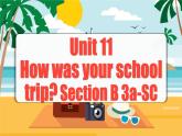 Unit 11 第5课时 (Section B 3a-SC) 课件+教案 人教版英语七下