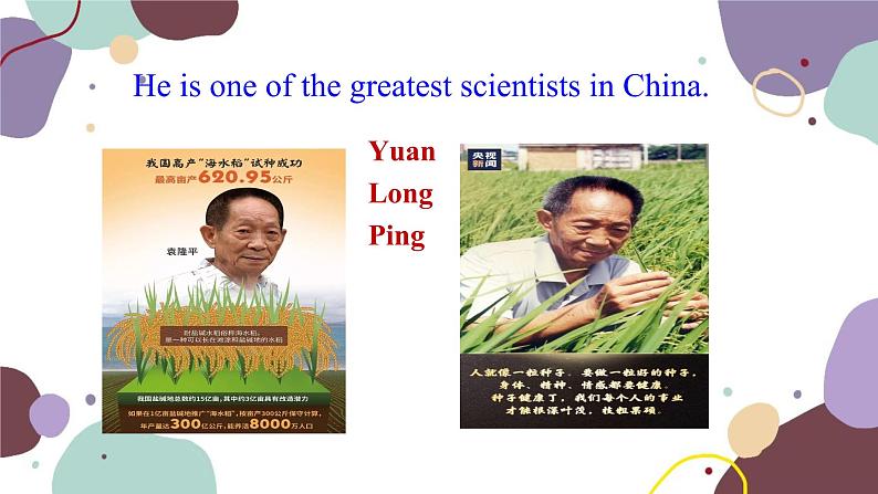 冀教版英语九年级上册 Lesson 9China’s Most Famous “Farmer”课件第5页