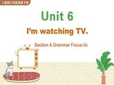 人教版英语七年级下册 Unit 6 Section A Grammar Focus-3c [PPT课件+教案]