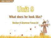 人教版英语七年级下册 Unit 9 Section A Grammar Focus-3d [PPT课件+教案]