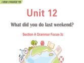 人教版英语七年级下册 Unit 12 Section A Grammar Focus-3c [PPT课件+教案]