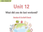 人教版英语七年级下册 Unit 12 Section B 3a-Self Check [PPT课件+教案]