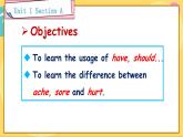 Unit 1 Section A Grammar Focus-4c 人教版英语八年级下册【PPT课件+教案】