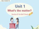 Unit 1 Section B 3a-Self Check 人教版英语八年级下册【PPT课件+教案】