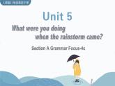 Unit 5 Section A Grammar Focus-4c 人教版英语八年级下册【PPT课件+教案】