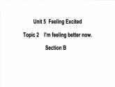 仁爱科普版英语八下Unit5  Feeling excited Topic 2 I’m feeling better now Section B 课件+教案+练习+音视频