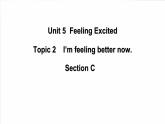 仁爱科普版英语八下Unit5  Feeling excited Topic 2 I’m feeling better now. Section C 课件+教案+练习+音视频