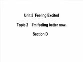 仁爱科普版英语八下Unit5  Feeling excited Topic 2 I’m feeling better now Section D 课件+教案+练习+音视频