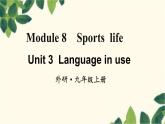 外研版英语九年级上册Module 8 Unit 3课件
