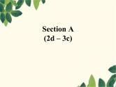 人教新目标版英语七年级上册Unit 3 Is this your pencil-Section A(2d – 3c)课件