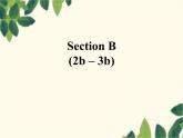 人教新目标版英语七年级上册Unit 3 Is this your pencil-Section B(2b – 3b)课件