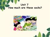 人教新目标版英语七年级上册Unit 7 How much are these socks-Section A(1a – 2c)课件