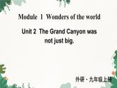 外研版英語九年級上冊Module 1 Unit 2 課件