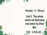外研版英语九年级上册Module 11 Unit 2课件