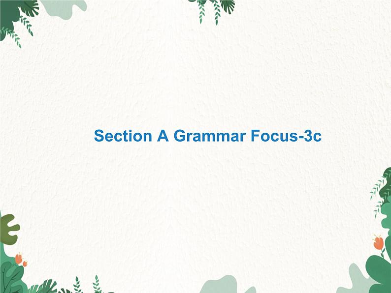 人教新目标(Go for it)版七年级上 Unit 5 Do you have a soccer ball Section A Grammar Focus-3c课件01