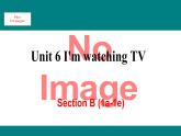 人教新目标版英语七年级下册Unit 6 I'm watching TV-Section B  (1a-1e)课件