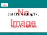 人教新目标版英语七年级下册Unit 6 I'm watching TV-Section B (3a-Selfcheck)课件