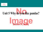 人教新目标版英语七年级下册Unit 5 Why do you like pandas-Section A (1a-1c)课件