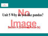 人教新目标版英语七年级下册Unit 5 Why do you like pandas-Section A (GF-3c)课件