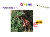人教新目标版英语七年级下册Unit 5 Why do you like pandas-Section A (GF-3c)课件