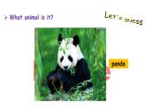 人教新目标版英语七年级下册Unit 5 Why do you like pandas-Section A (GF-3c)课件