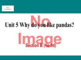人教新目标版英语七年级下册Unit 5 Why do you like pandas-Section B (1a-1d)课件