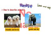人教新目标版英语七年级下册Unit 5 Why do you like pandas-Section B (1a-1d)课件