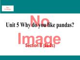 人教新目标版英语七年级下册Unit 5 Why do you like pandas-Section B (2a-2c)课件