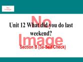 人教新目标版英语七年级下册Unit 12 What did you do last weekend-Section B (3a-Selfcheck)课件