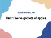外研版英语七年级上册Module 4 Healthy food Unit1 We’ve got lots of apples课件