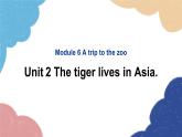 外研版英语七年级上册Module 6 A trip to the zooUnit2 The tiger lives in Asia课件