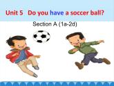 人教新目标版英语七年级上册 Unit 5 Do you have a soccer ball Section A（1a~2d）课件