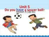 人教新目标版英语七年级上册 Unit 5 Do you have a soccer ball Section A（3a~3c）课件