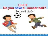 人教新目标版英语七年级上册 Unit 5 Do you have a soccer ball Section B（2a~3b）课件