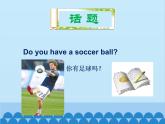 人教新目標(biāo)版英語七年級上冊 Unit 5 Do you have a soccer ballu6 單元小結(jié)課件