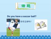 人教新目标版英语七年级上册 Unit 5 Do you have a soccer ballu6 单元小结课件