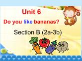 人教新目标版英语七年级上册 Unit 6 Do you like bananas Section B（2a~3b）课件