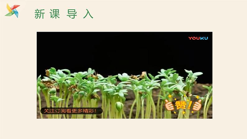 Unit 2 Lesson 10 Make Your Garden Grow！  课件 2023-2024学年冀教版英语八年级下册第2页