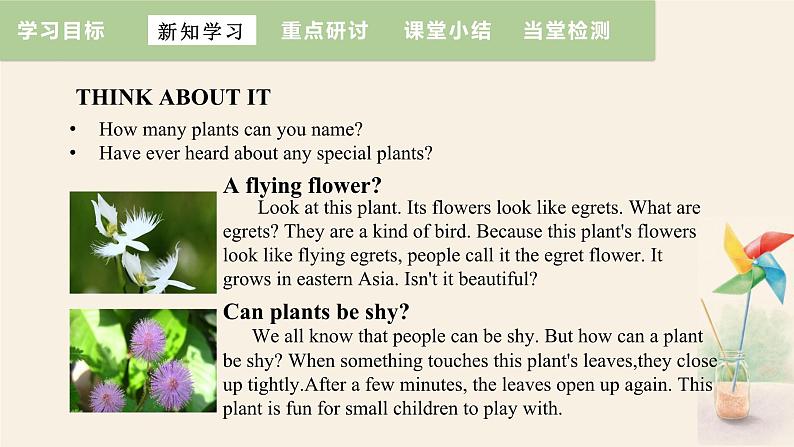 Unit 2 Lesson 11 Amazing Plants  课件 2023-2024学年冀教版英语八年级下册04