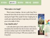 Unit 2 Lesson 11 Amazing Plants  课件 2023-2024学年冀教版英语八年级下册