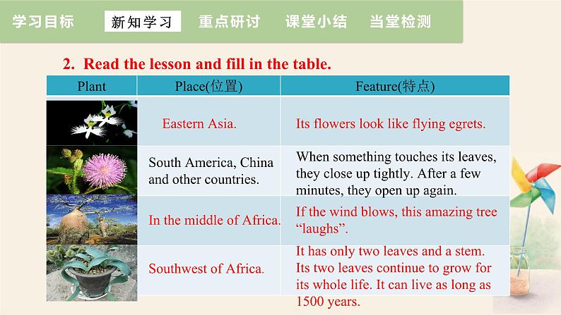 Unit 2 Lesson 11 Amazing Plants  课件 2023-2024学年冀教版英语八年级下册07