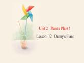Unit 2 Lesson 12 Danny's Plant  课件 2023-2024学年冀教版英语八年级下册