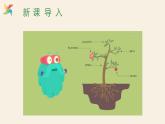 Unit 2 Lesson 12 Danny's Plant  課件 2023-2024學(xué)年冀教版英語八年級下冊