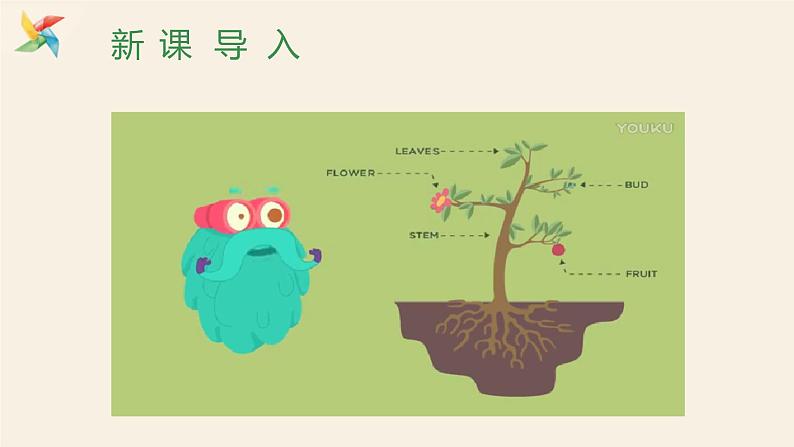 Unit 2 Lesson 12 Danny's Plant  课件 2023-2024学年冀教版英语八年级下册第2页