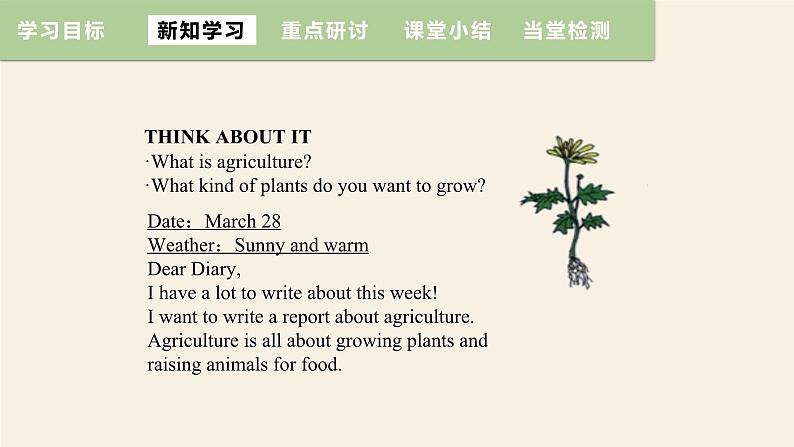 Unit 2 Lesson 12 Danny's Plant  课件 2023-2024学年冀教版英语八年级下册第4页