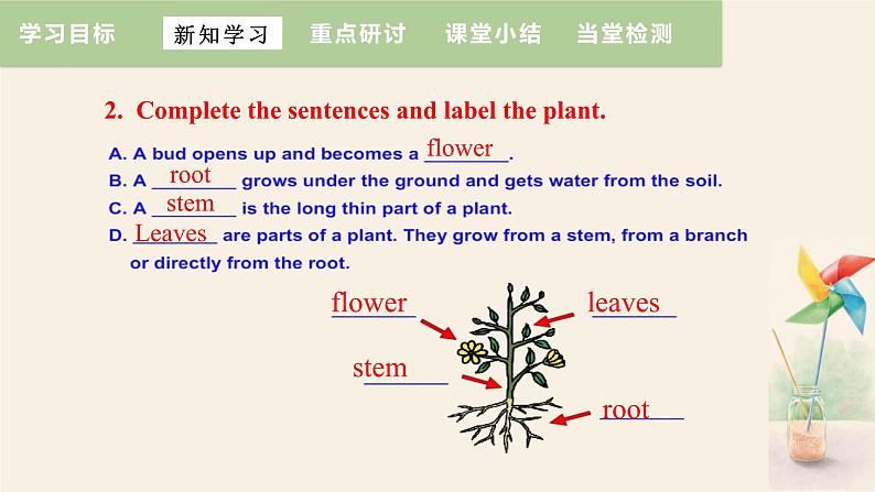 Unit 2 Lesson 12 Danny's Plant  课件 2023-2024学年冀教版英语八年级下册第7页