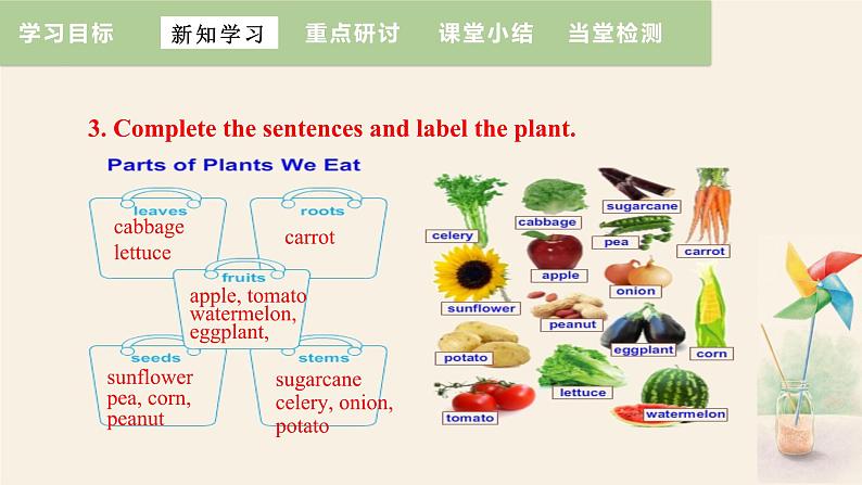 Unit 2 Lesson 12 Danny's Plant  课件 2023-2024学年冀教版英语八年级下册第8页