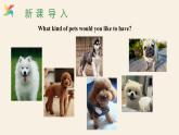 Unit 3 Lesson 13 Danny’s Big Scare  课件 2023-2024学年冀教版英语八年级下册