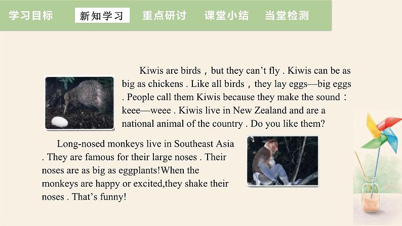 Unit 3 Lesson 14 Amazing Animals  课件 2023-2024学年冀教版英语八年级下册05